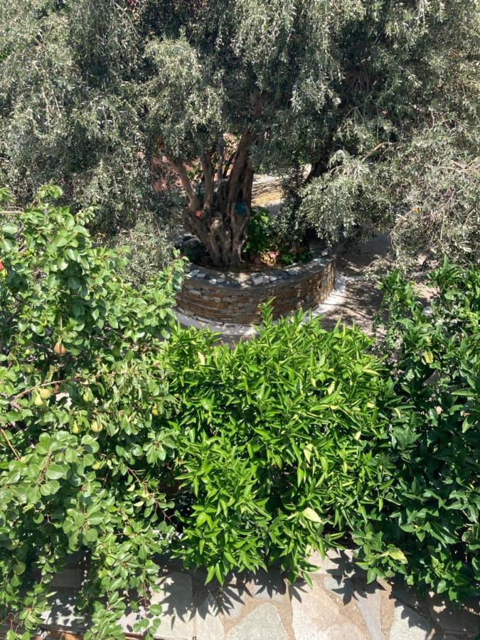 Agkyra Rooms Aladhinon ภายนอก รูปภาพ